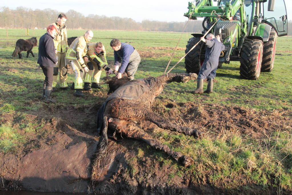 Brandweer ingezet voor een paard in de sloot