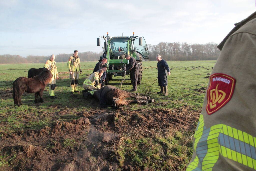 Brandweer ingezet voor een paard in de sloot