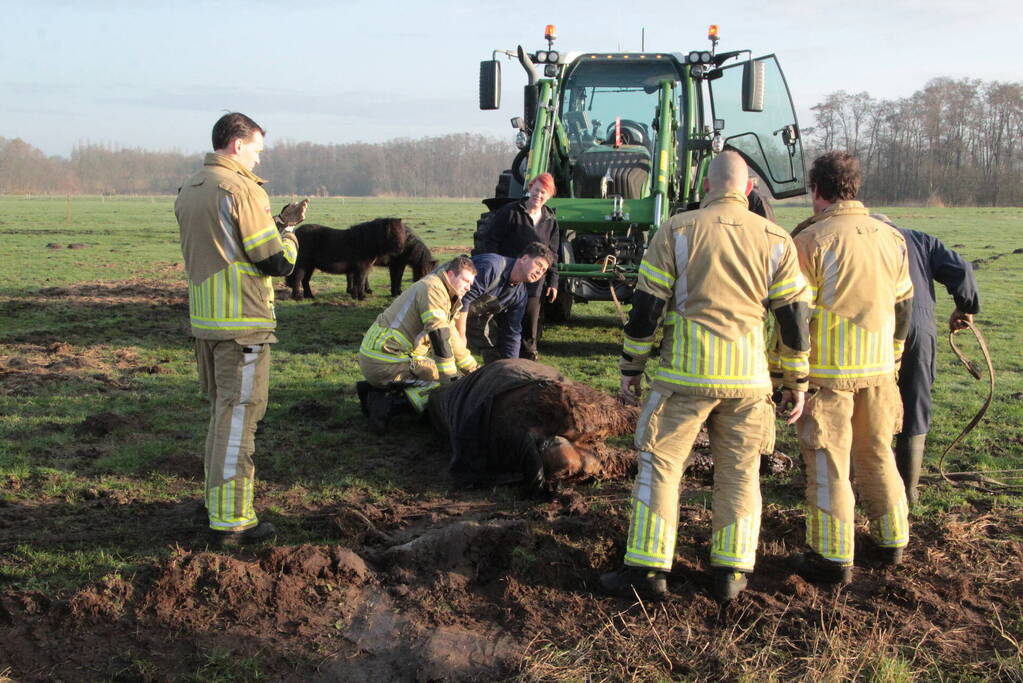 Brandweer ingezet voor een paard in de sloot