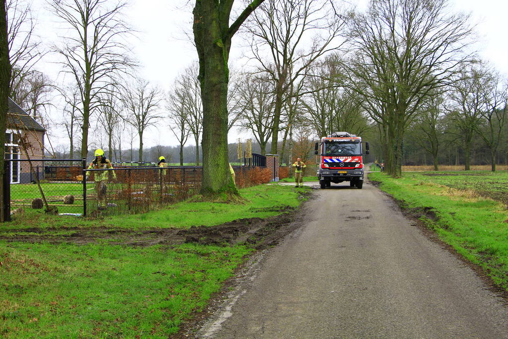 Gasleiding geraakt tijdens planten van bomen