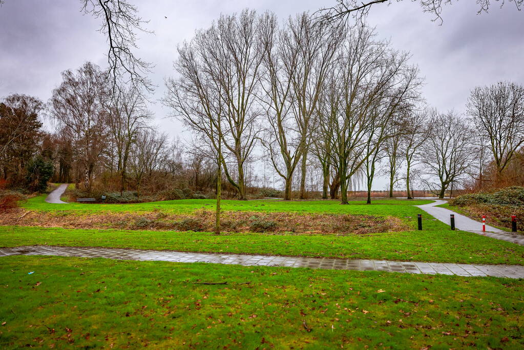 Man en hond gewond bij steekincident in park
