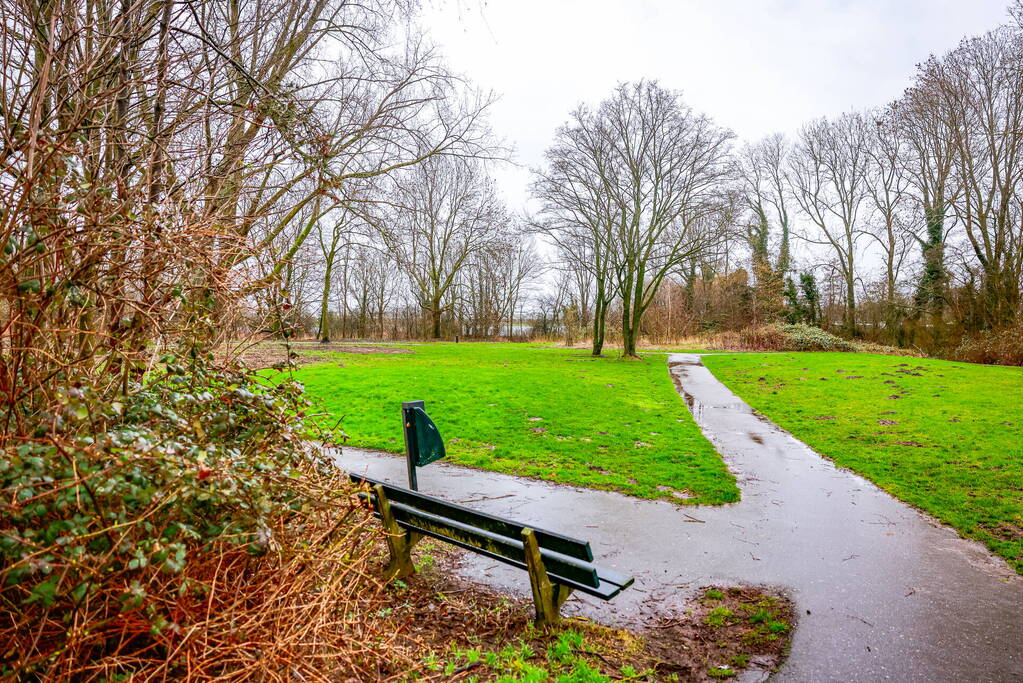 Man en hond gewond bij steekincident in park