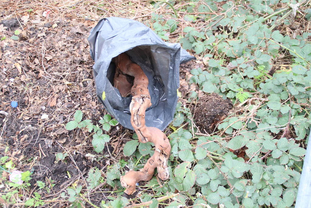 Giftige cobra ontsnapt, Hou ramen en deuren dicht