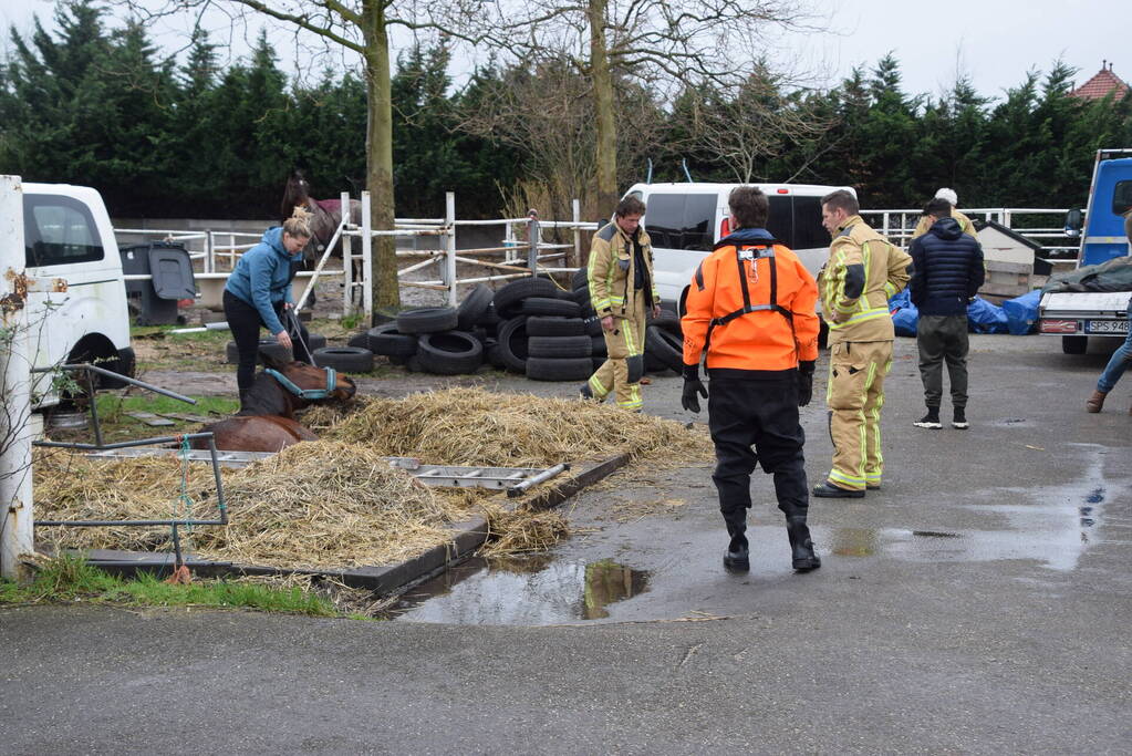 Brandweer ingezet voor paard in put