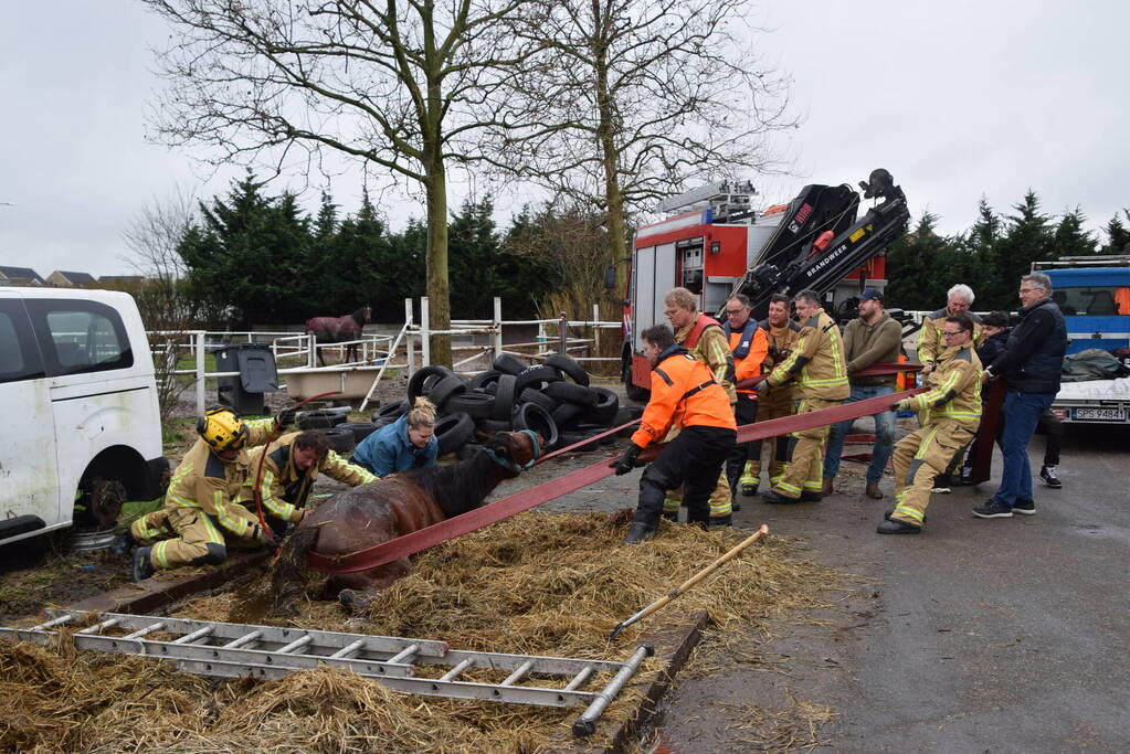 Brandweer ingezet voor paard in put