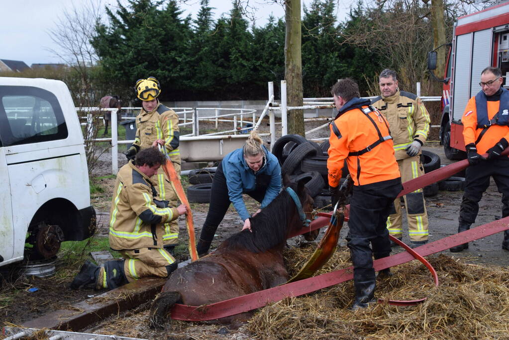 Brandweer ingezet voor paard in put