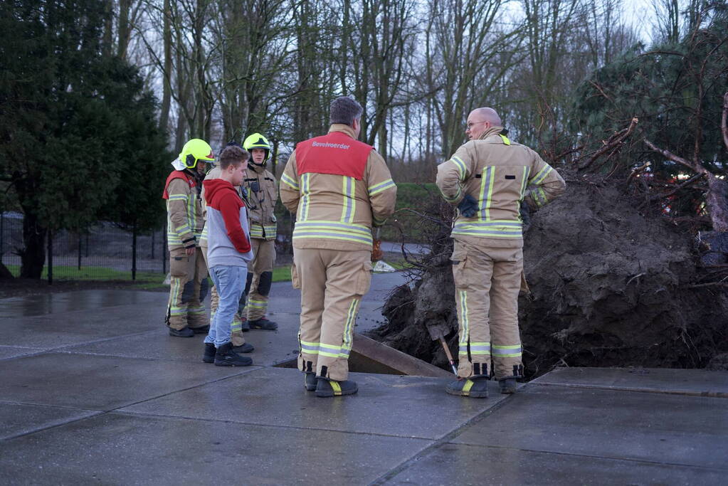 Omgewaaide boom beschadigd gasleiding
