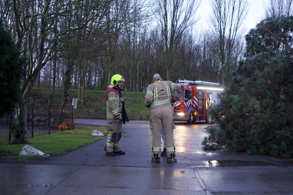 Omgewaaide boom beschadigd gasleiding