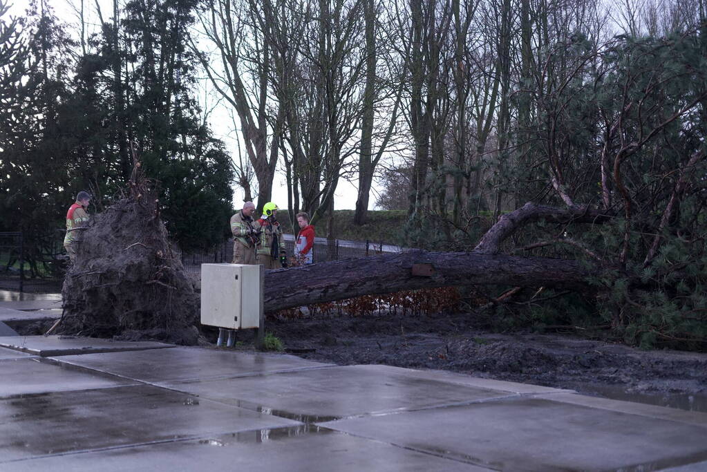 Omgewaaide boom beschadigd gasleiding