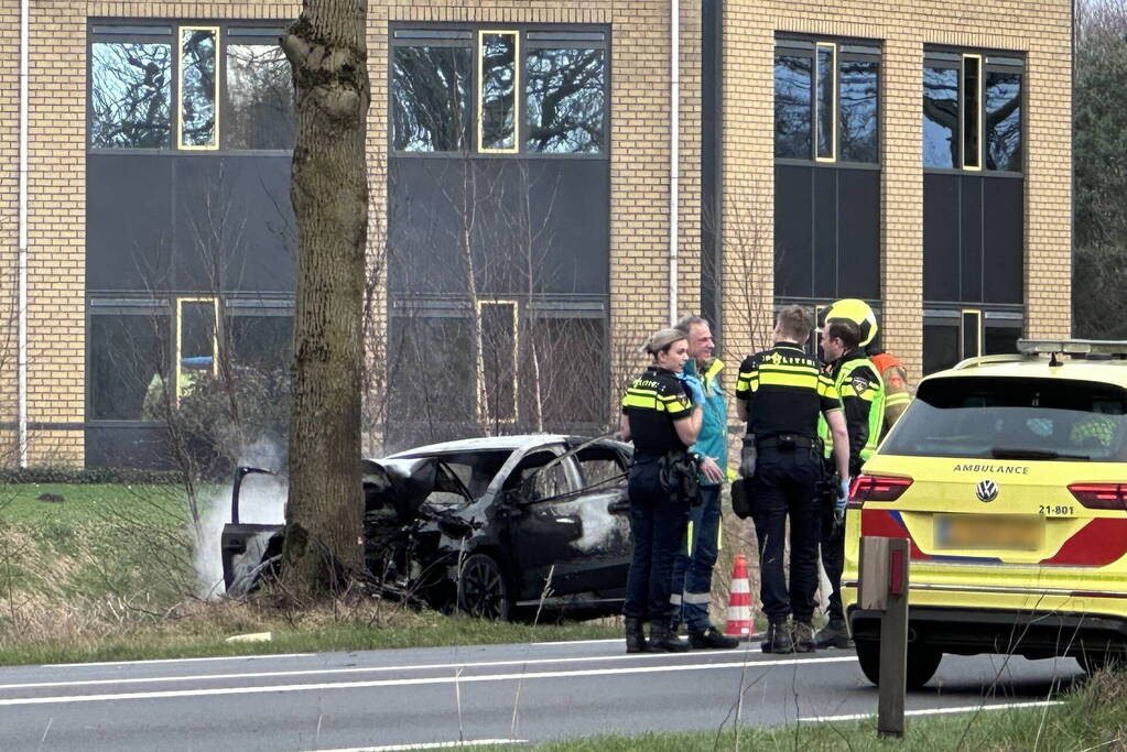 Auto vliegt in brand na frontale botsing tegen boom, bestuurder overleden