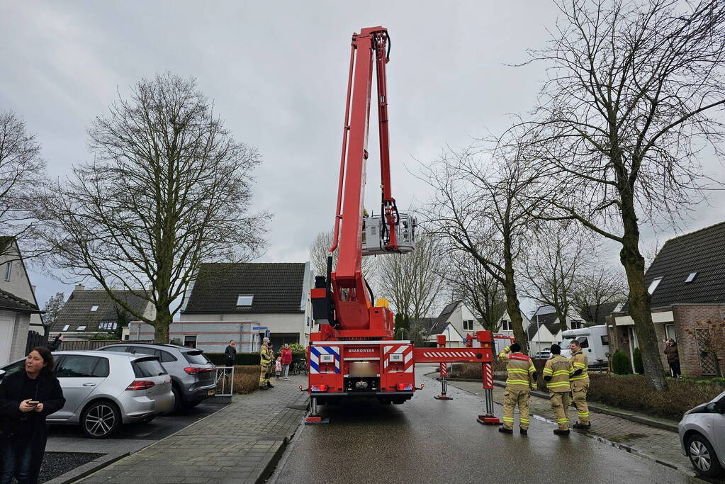 Papegaai Diva gaat ervandoor wanneer brandweer in actie komt