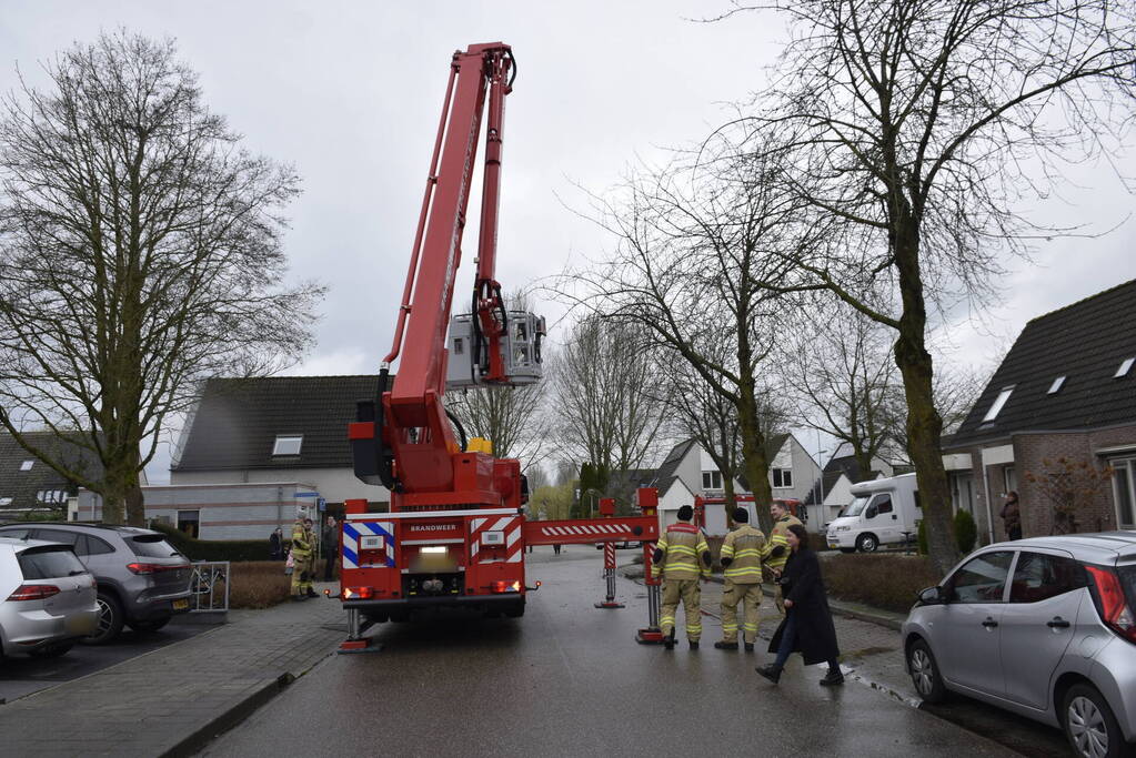 Papegaai Diva gaat ervandoor wanneer brandweer in actie komt