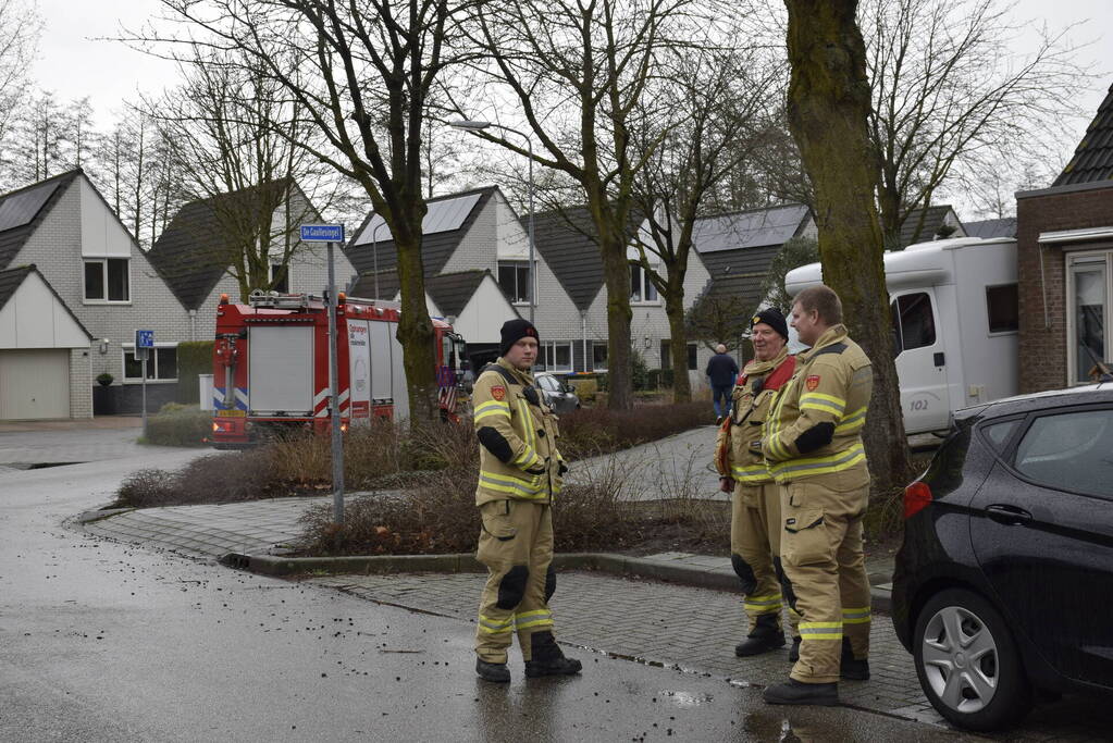 Papegaai Diva gaat ervandoor wanneer brandweer in actie komt