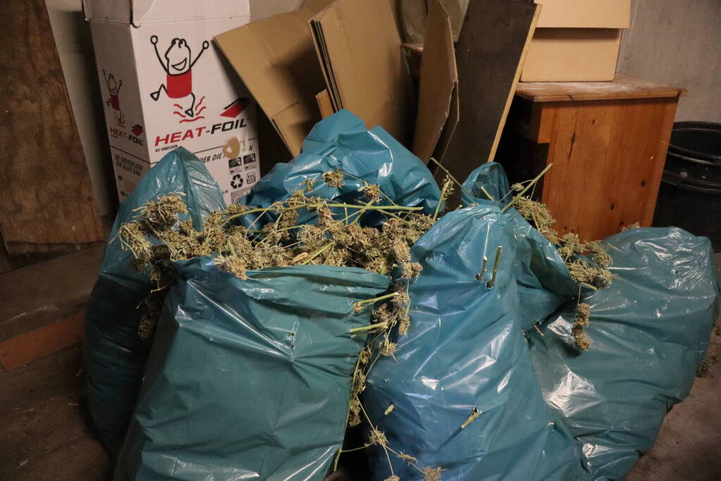 Wietplantage aangetroffen naast politiebureau