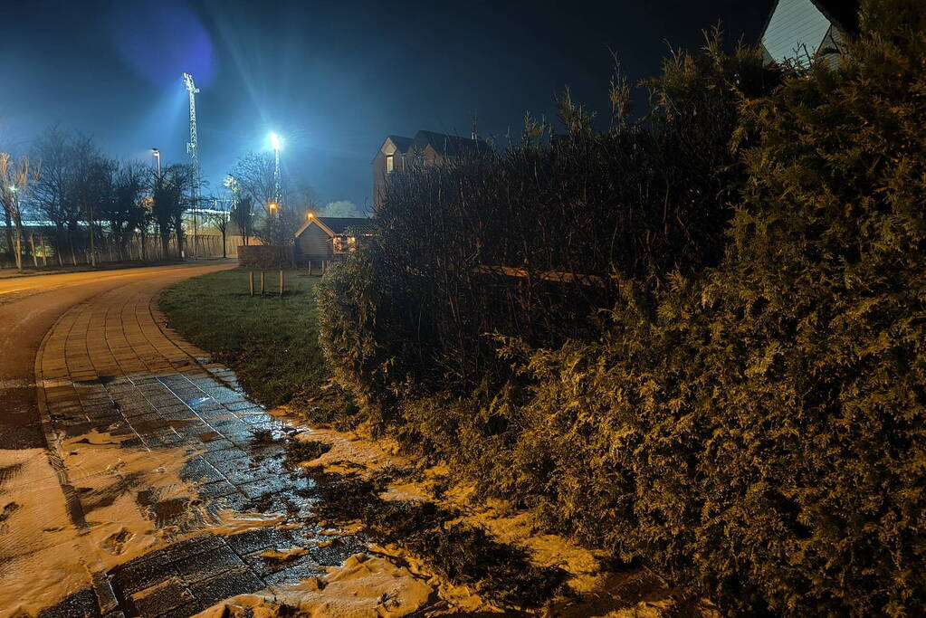 Conifeer vat vlam door vuurwerk