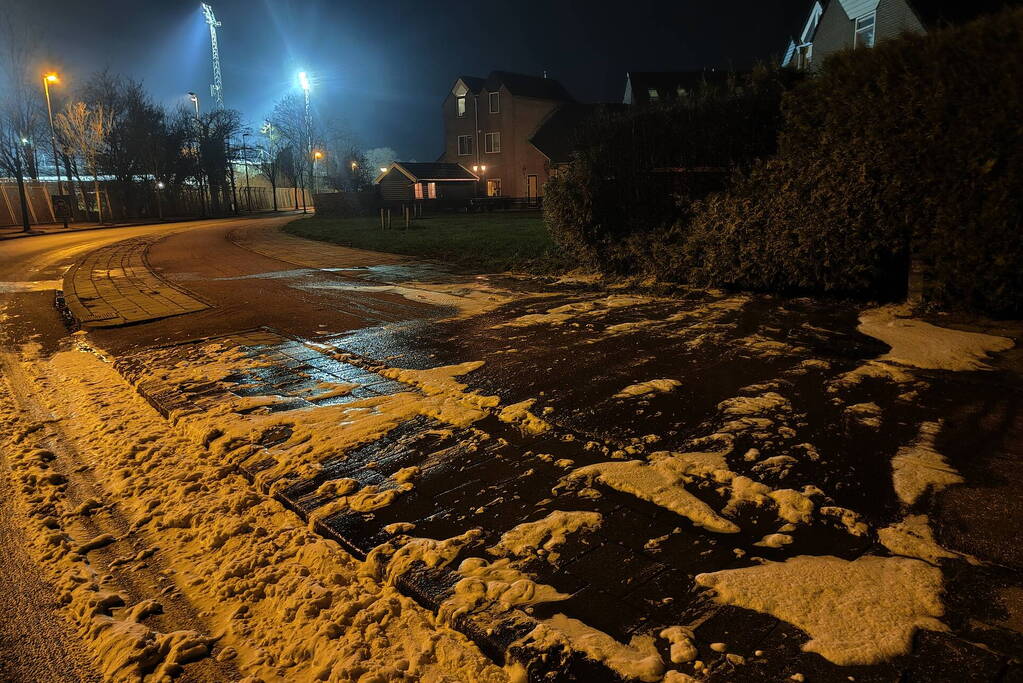 Conifeer vat vlam door vuurwerk