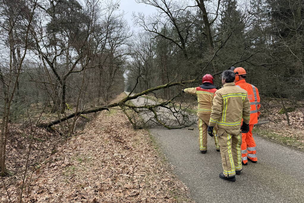 Omgevallen boom verspert weg