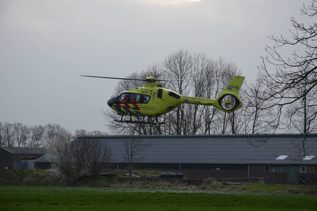 Bestuurder ernstig gewond bij botsing met boom