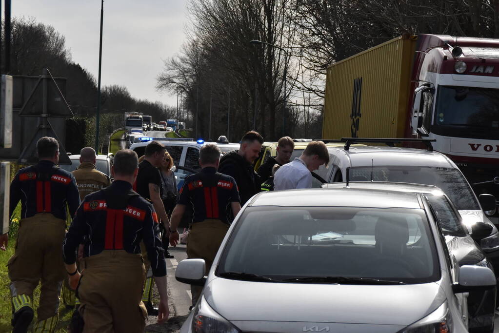 Kop-staartbotsing meerdere voertuigen dieren uit hun benarde positie bevrijdt