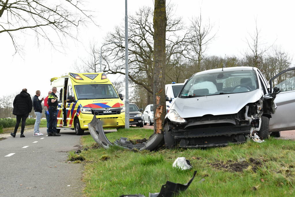 Flinke schade nadat auto botst tegen boom klapt