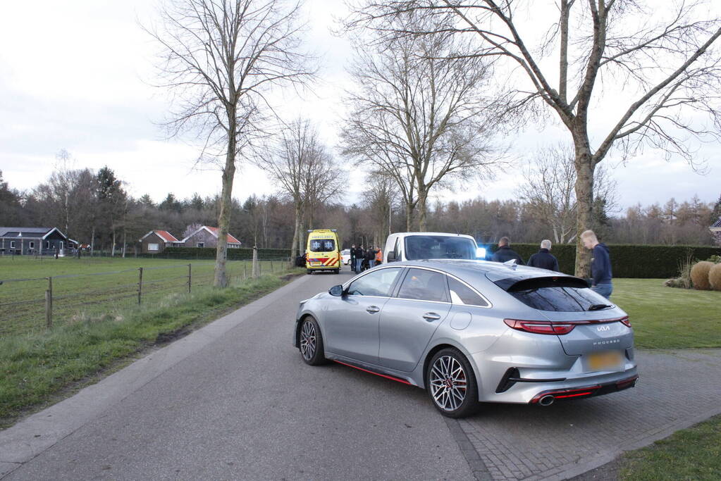 Automobilist botst frontaal op boom