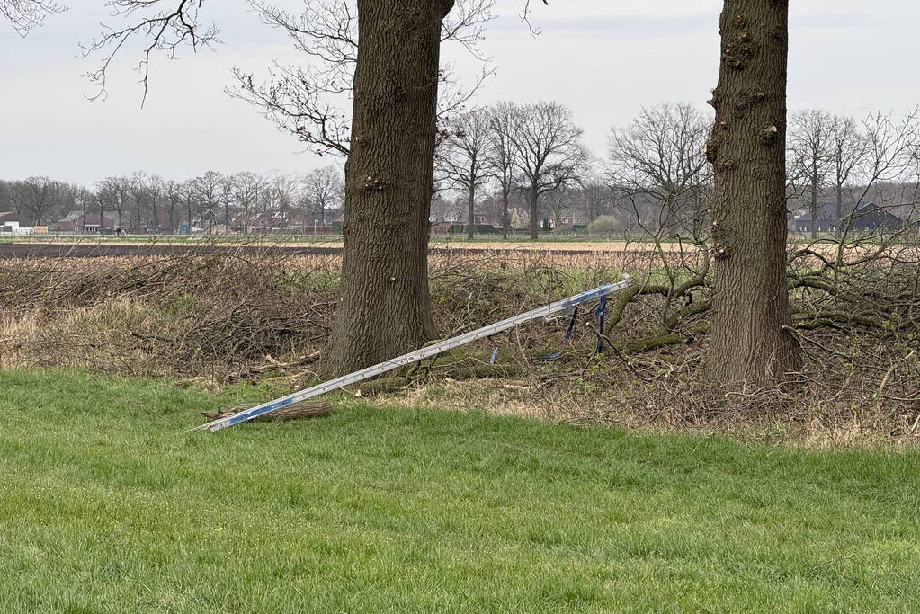 Traumateam ingezet nadat man uit boom valt
