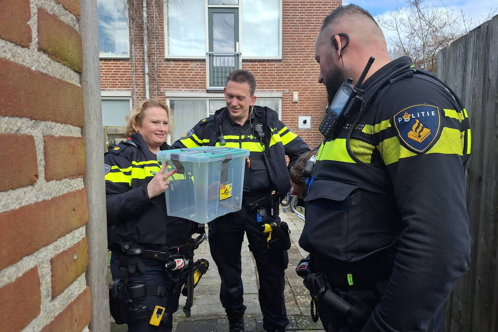 Giftige ontsnapt cobra eindelijk gevangen