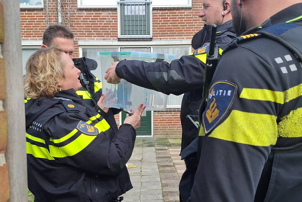 Giftige ontsnapt cobra eindelijk gevangen