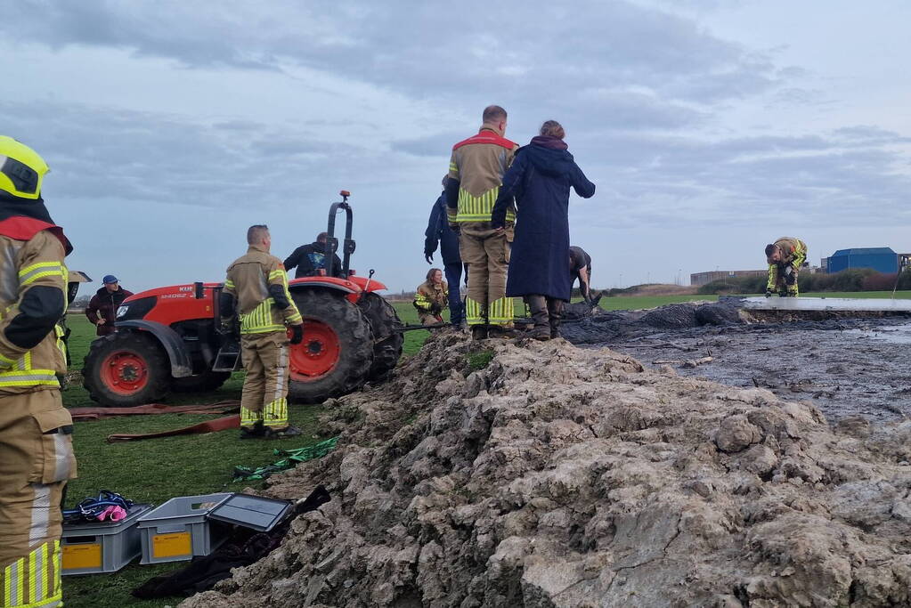 Paard muurvast in modderpoel