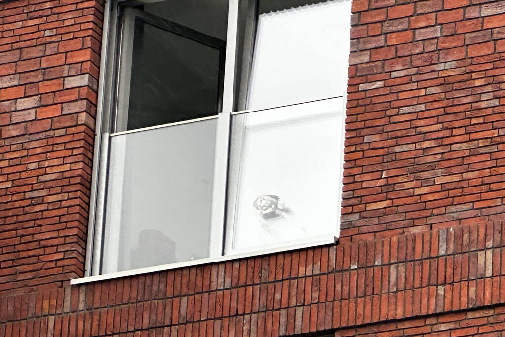 Vogel vast tussen kiepraam en balustrade