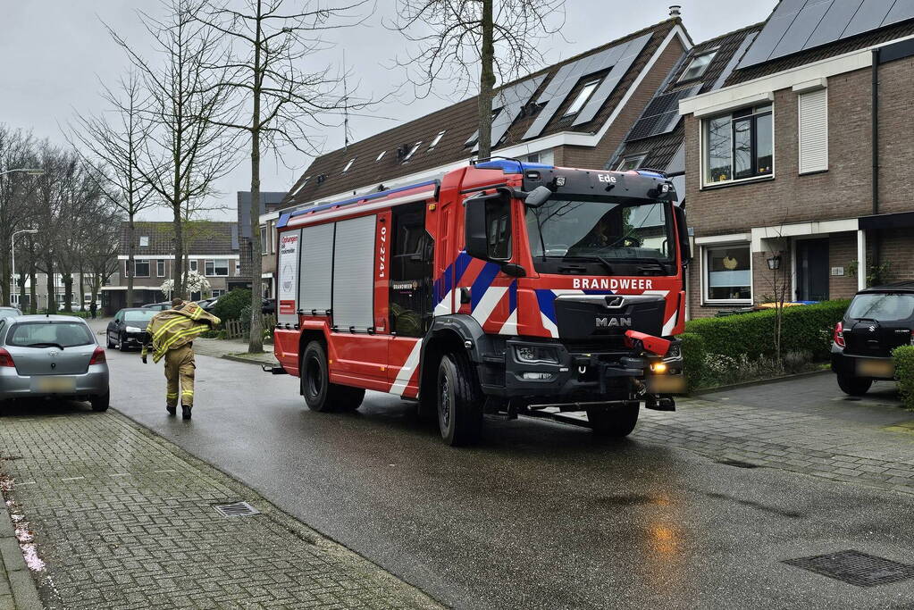 Brandweer schudt kat uit boom