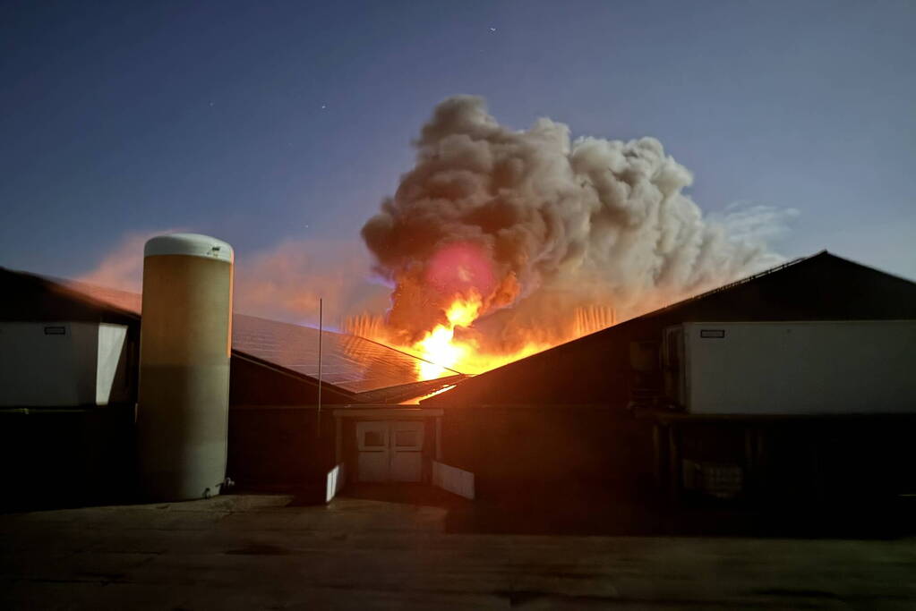 Uitslaande brand in stal, brandweer probeert dieren te redden