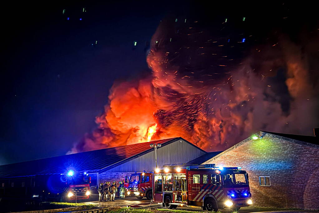 Uitslaande brand in stal, brandweer probeert dieren te redden