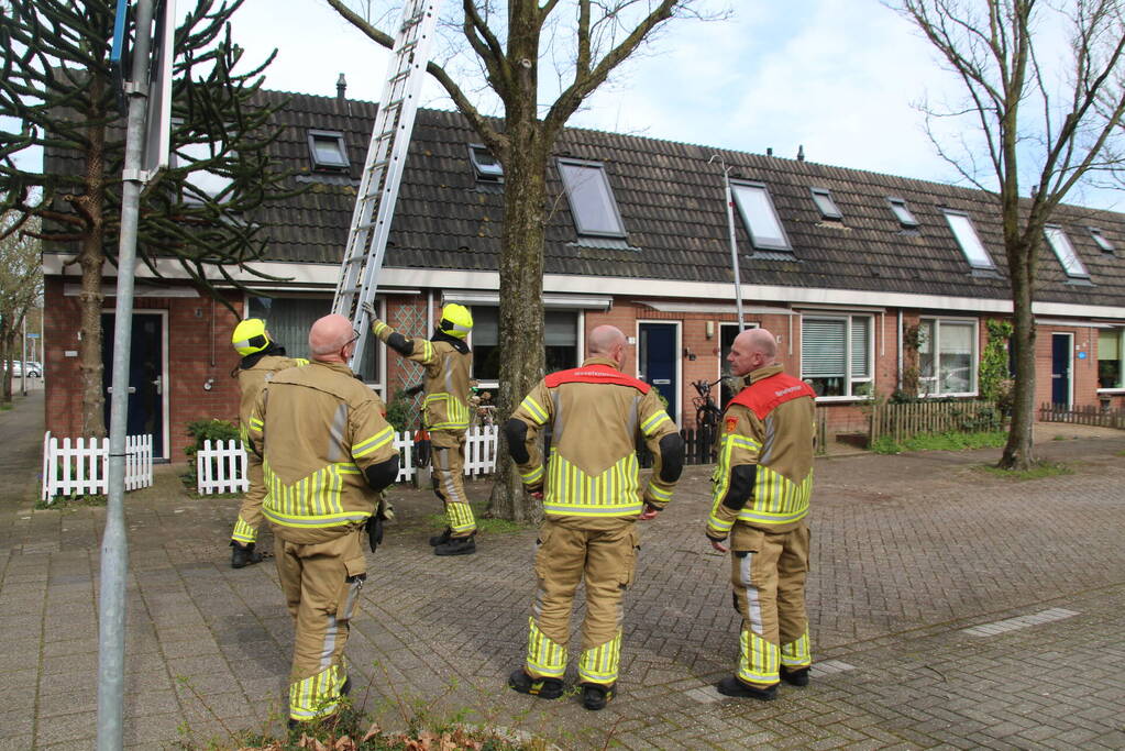 Brandweer ingezet voor vastzittende vogel