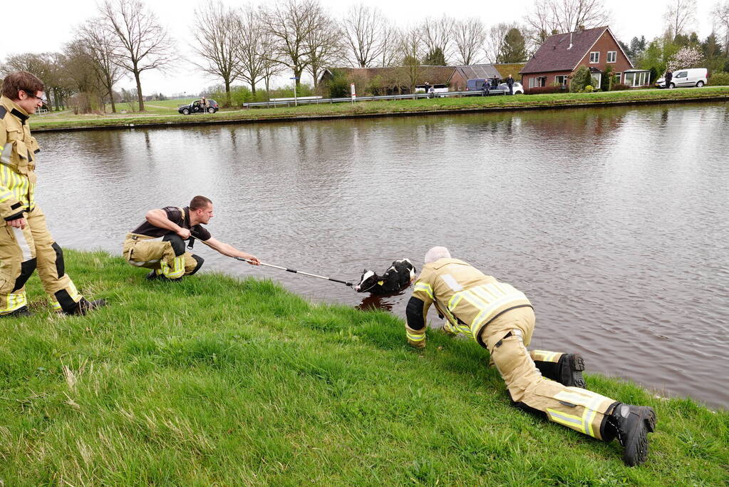 Brandweer 'vist' Pink uit water