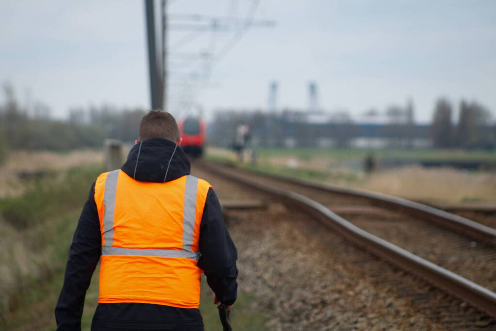 Dode zwaan zorgt voor hinder van treinverkeer