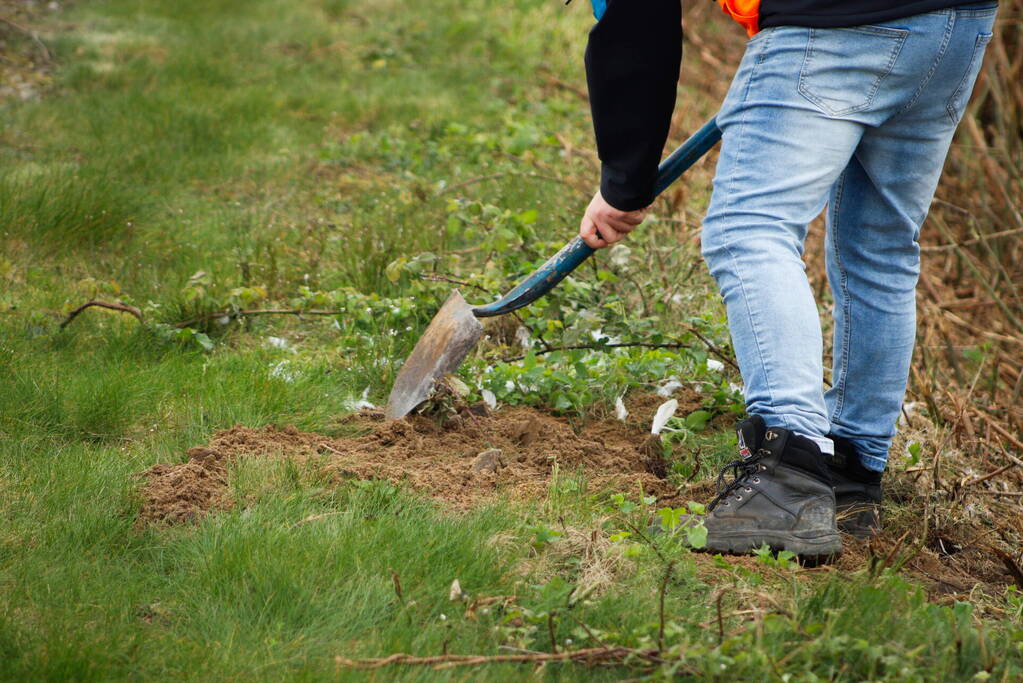 Dode zwaan zorgt voor hinder van treinverkeer