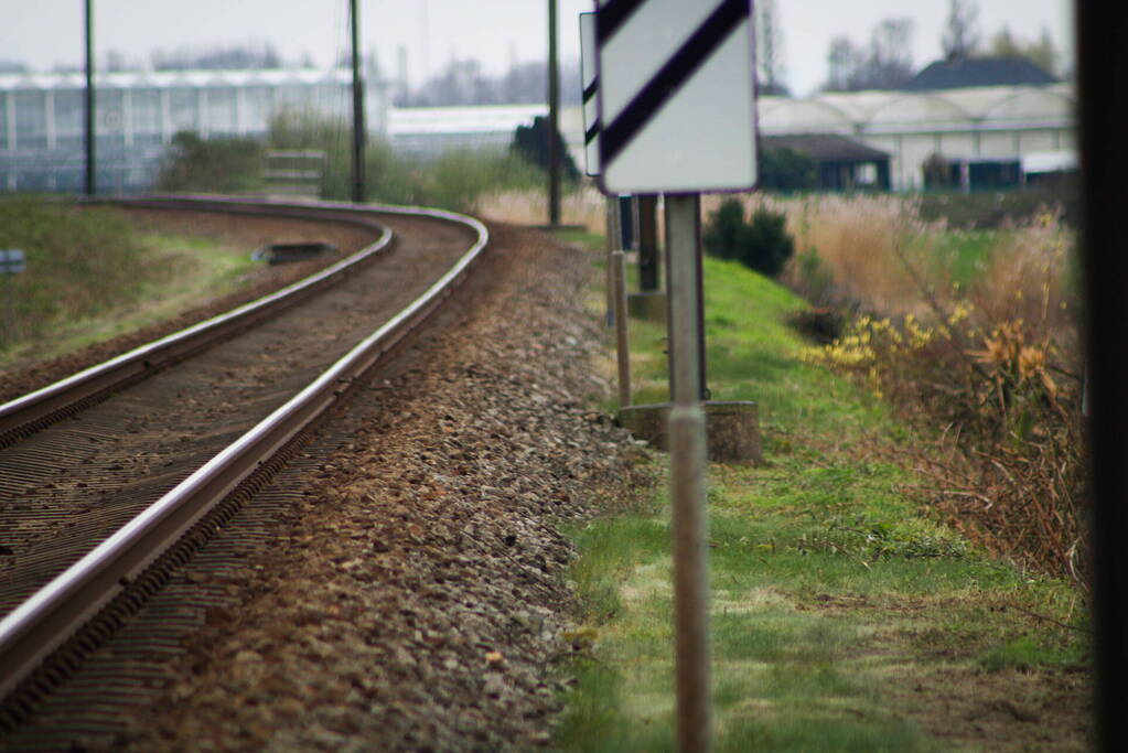 Dode zwaan zorgt voor hinder van treinverkeer