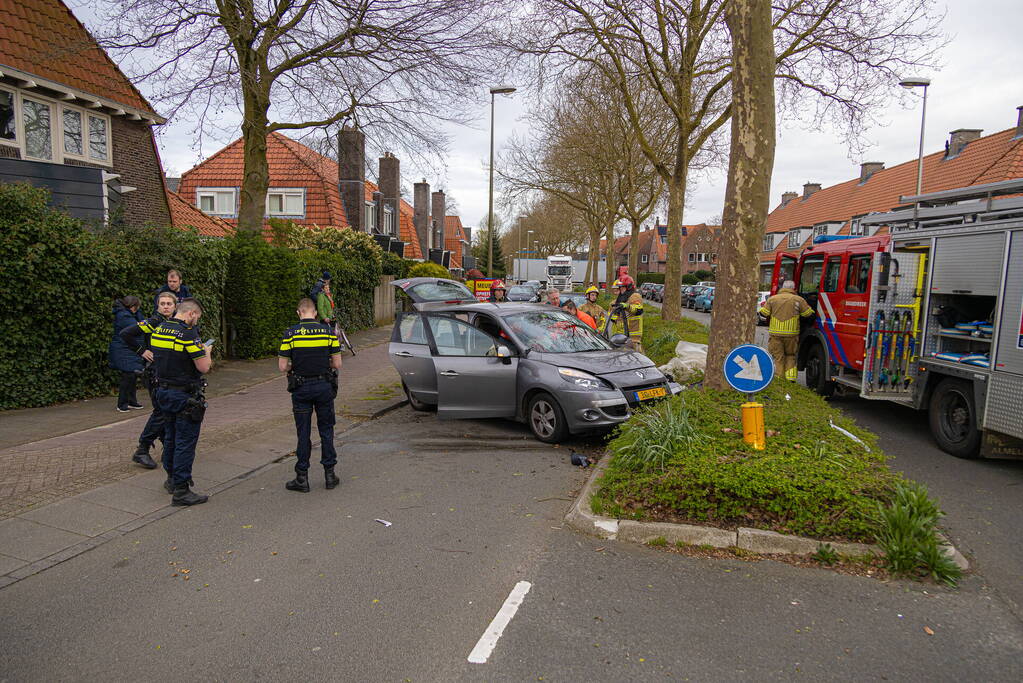 Automobilist botst tegen boom