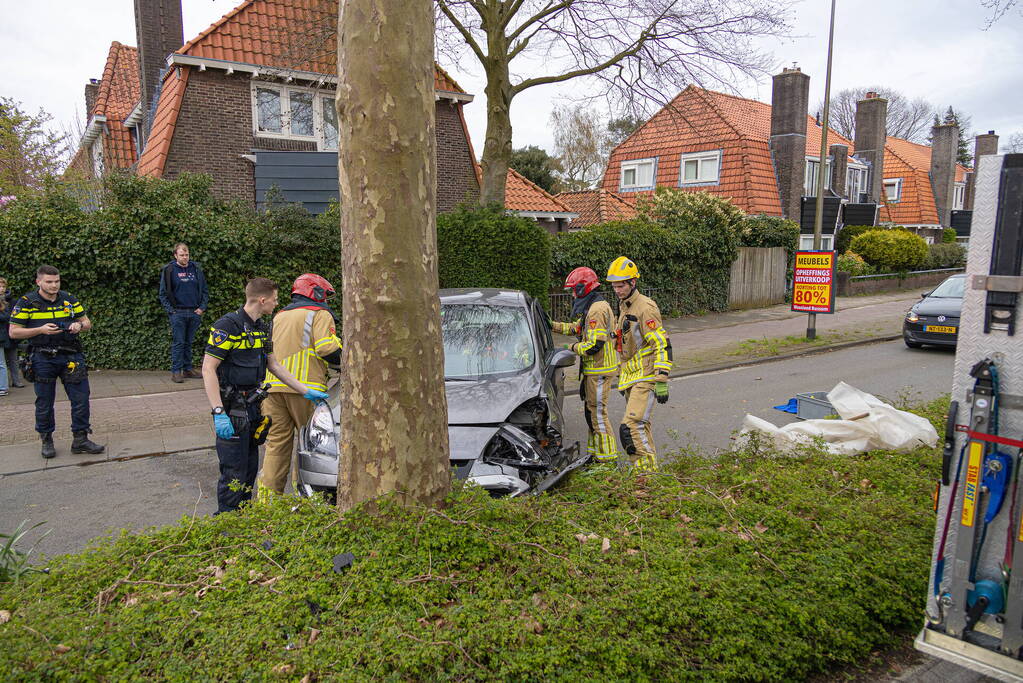 Automobilist botst tegen boom