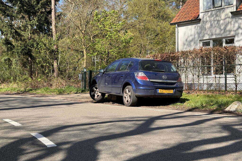 Auto loopt fikse schade op nadat deze op varkensrug rijdt