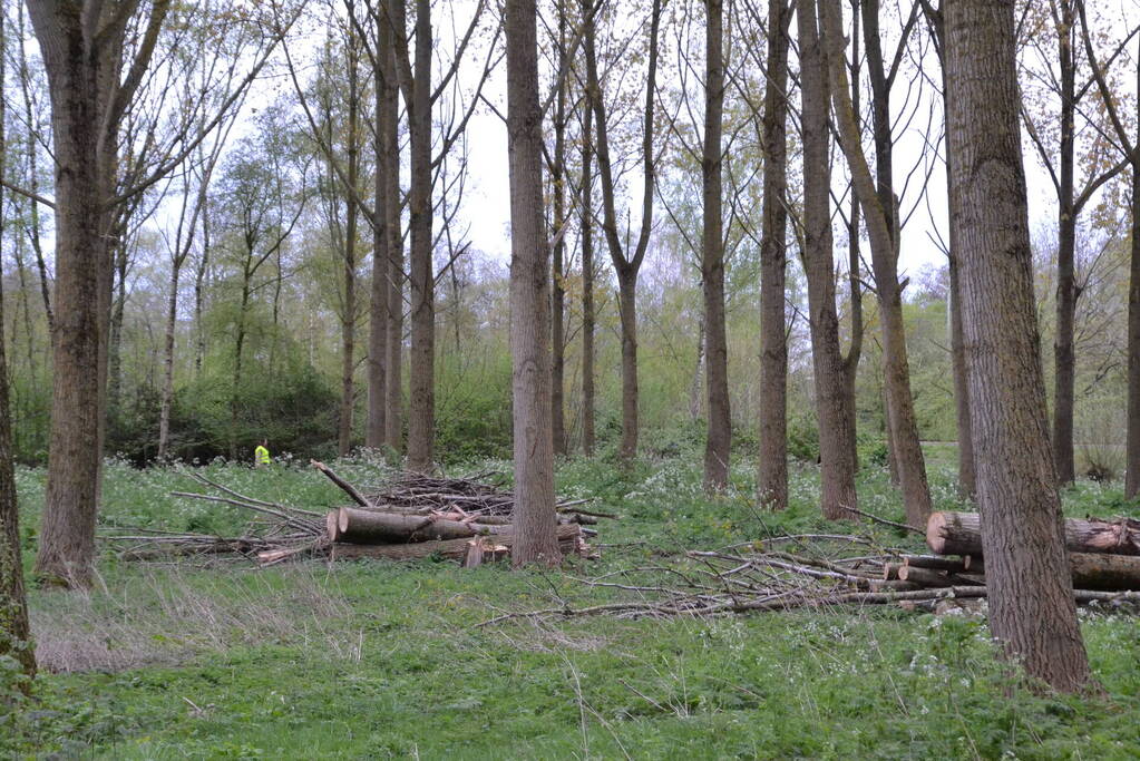 Burgerinitiatief organiseert zoekactie voor vermiste man