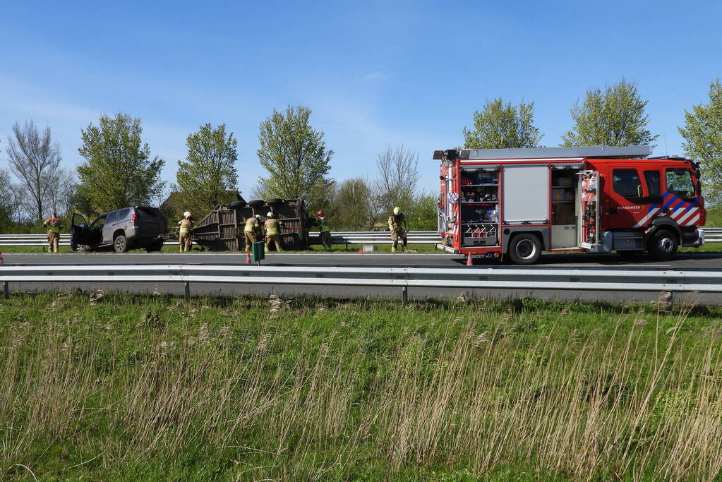 Koeien vast in gekantelde veewagen