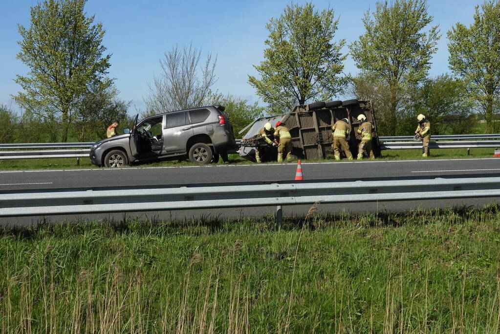 Koeien vast in gekantelde veewagen