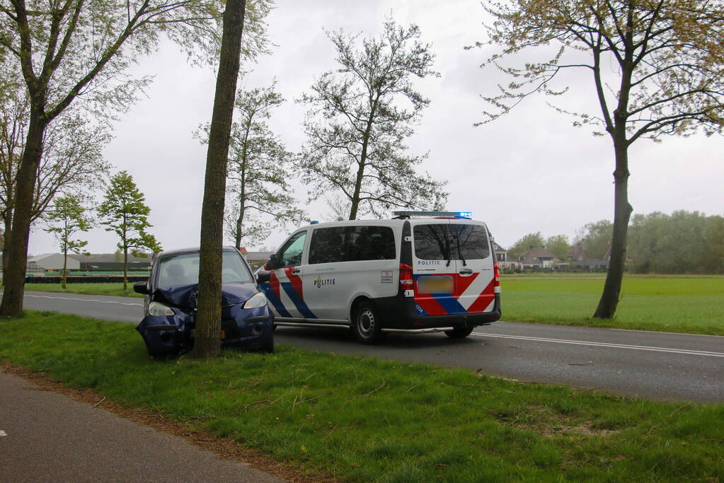 Auto klapt frontaal op boom