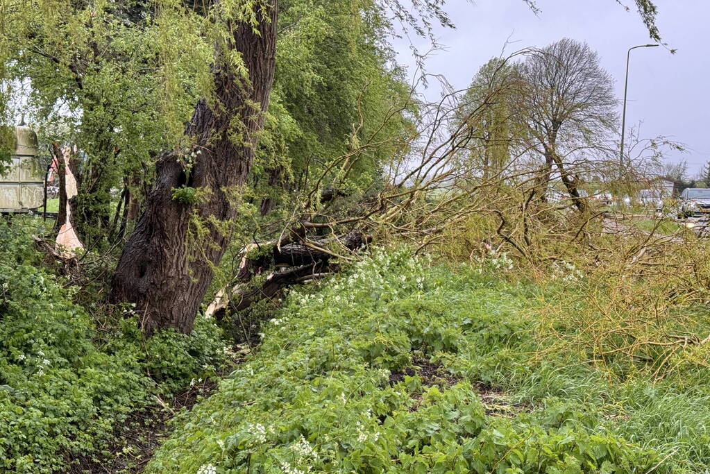 Brandweer assisteert bij stormschade aan boom