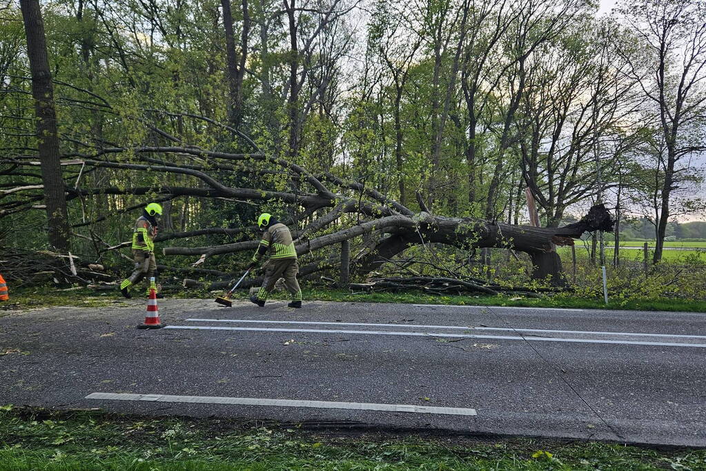 Boom valt om en belandt op provinciale weg