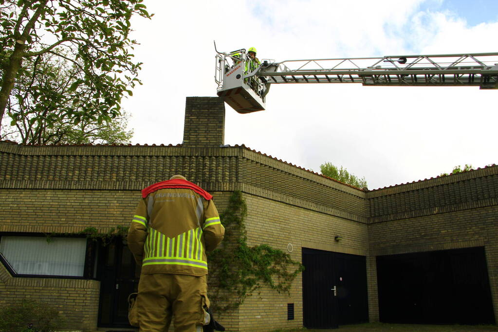 Brandweer ingezet voor dier in nood