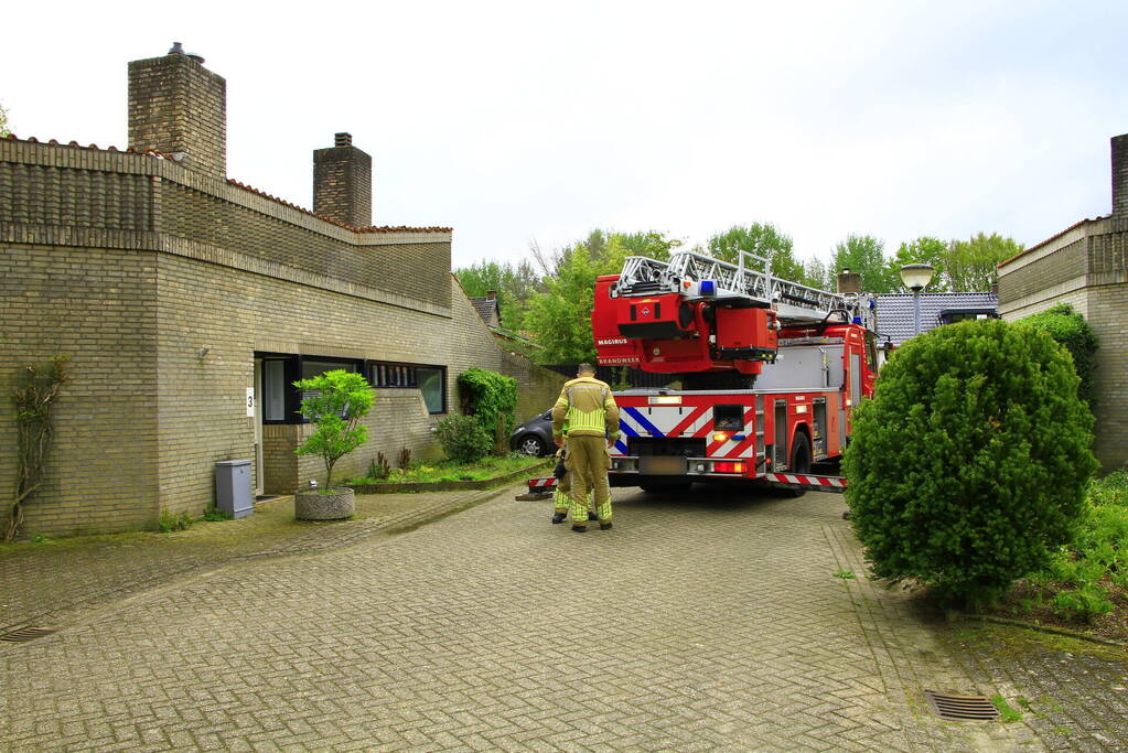 Brandweer ingezet voor dier in nood