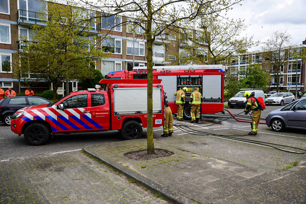 Brand in haag snel onder controle